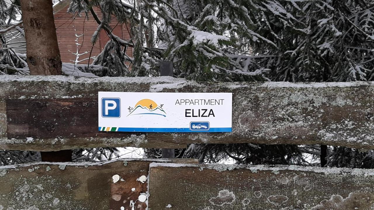 Eliza Apartment Winterberg